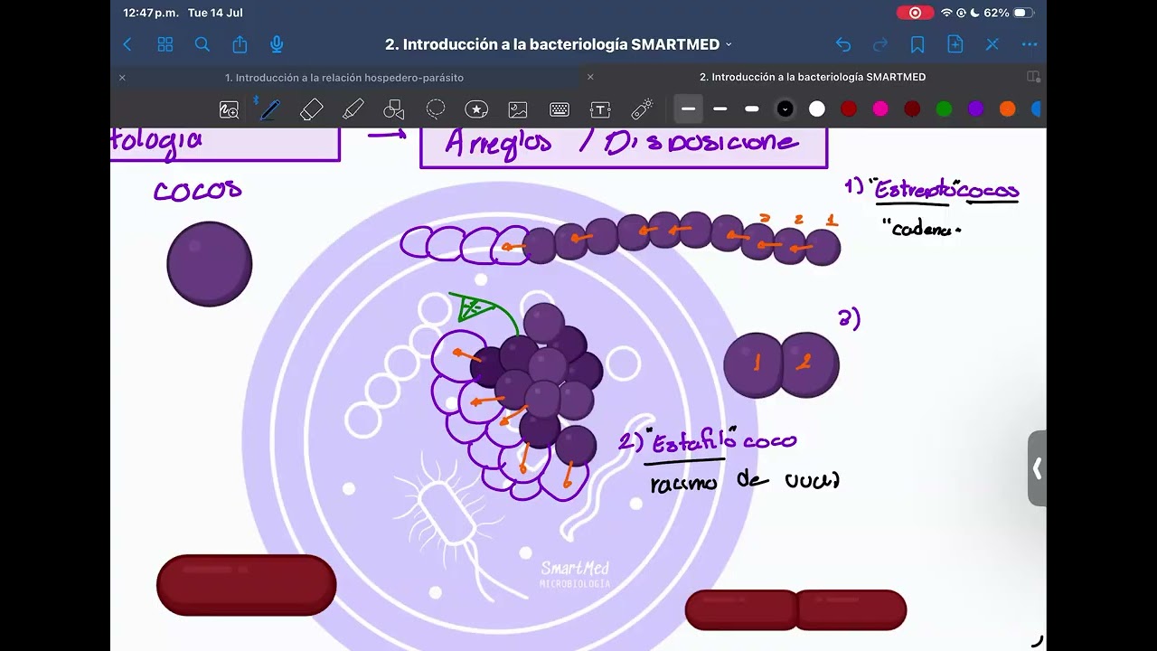Introducción a Microbiología