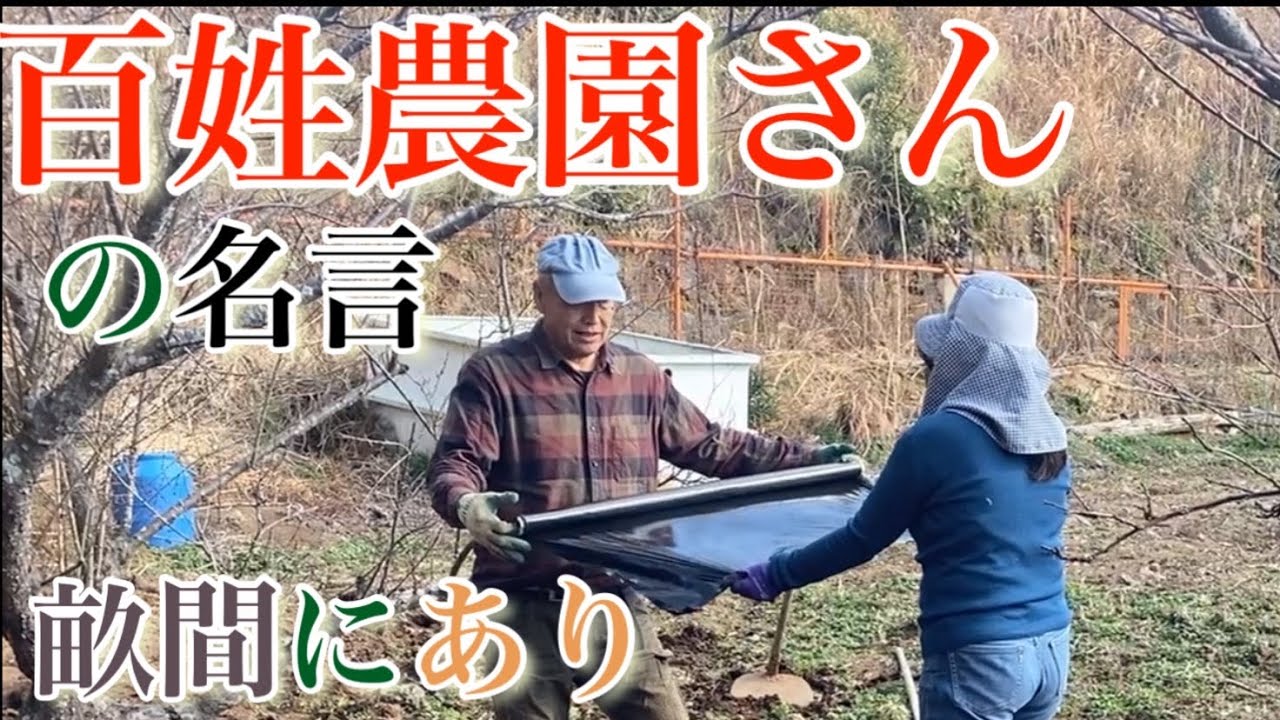 畝間にあり 百姓農園さんの名言 三重県志摩市浜島町迫子 Youtube