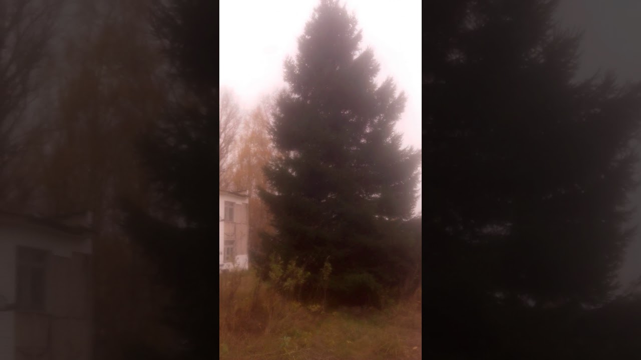 Аэродром \"Кадым\" в Волосово Московской области - YouTube