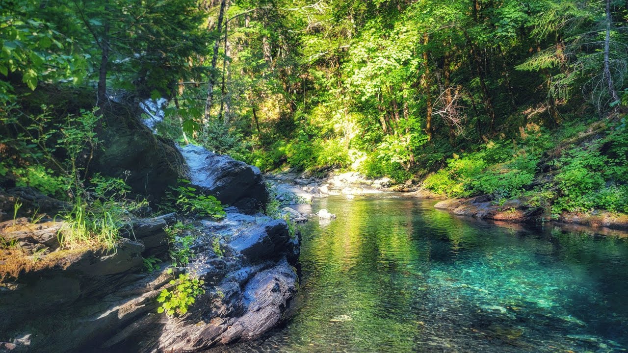 Погружение в Блафф-Крик