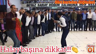 Halay başına dikkat omuzlar ayrı oynuyor (kemençe)