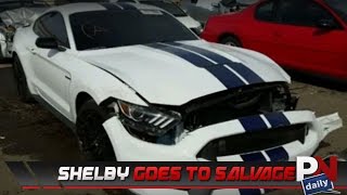 This Could Be The First Shelby To Hit The Salvage Yard
