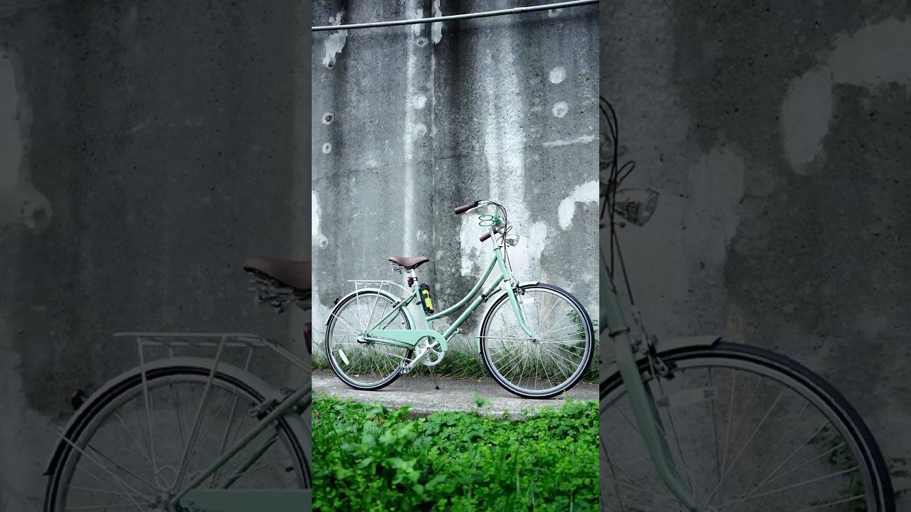 Linus Dutchi 荷蘭復古鋼管車 - 鼠尾草綠 開箱 