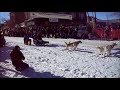 THE 2014 CANADIAN CHALLENGE INTERNATIONAL SLED DOG RACE Prince Albert, SK