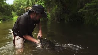 【絶滅動物探検隊】黒いオオカミ in フロリダ [Full]   | Extinct Or Alive (ディスカバリーチャンネル)