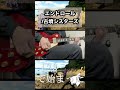 エンドロール/古墳シスターズ サビ【弾いてみた】 #毎日投稿 #shorts #ギター #弾いてみた