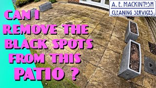 Can I Remove The Black Spots From This Patio? screenshot 4