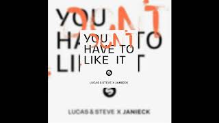 You Don't Have To Like It - Lucas & Steve x Janieck (Lyric Video)