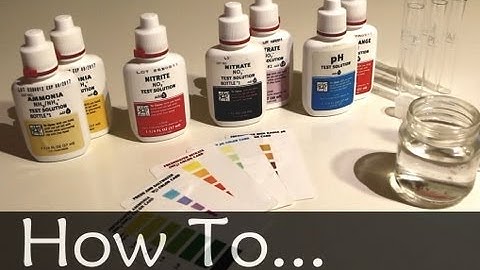 ✯ How To Test Your Aquarium Water