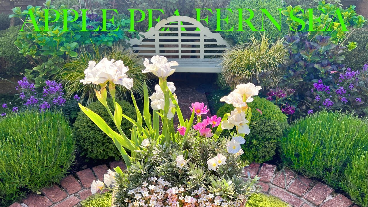 May in Our Small English Garden! Tour Lush Foliage & Lovely Flowers, Get a Top Tip for Maximum Space