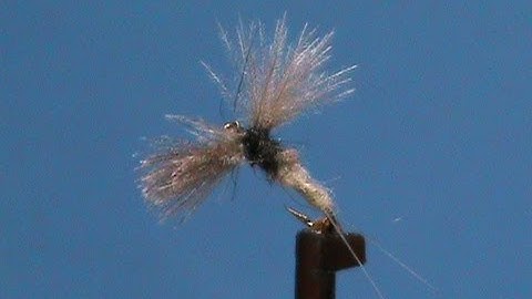 Fly Tying for Beginners a CDC Trico with Jim Misiura