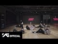 iKON - '왜왜왜 (Why Why Why)’ DANCE PRACTICE VIDEO