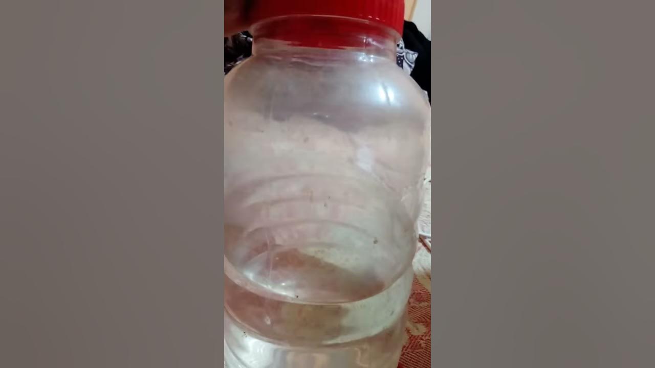 Dffffhh - YouTube