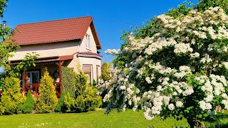 Колоритный Дом с Террасой и Уютным Садом🏠 Уборка. Посадка сухоцветов 🌿Чаепитие🫖 #дом #сад #garden