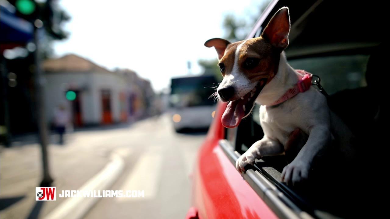 MEMORIAL DAY TIRE SALE BUY 3 TIRES GET 1 FREE YouTube