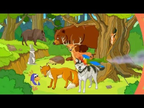 Развивающий мультфильм лесные звери