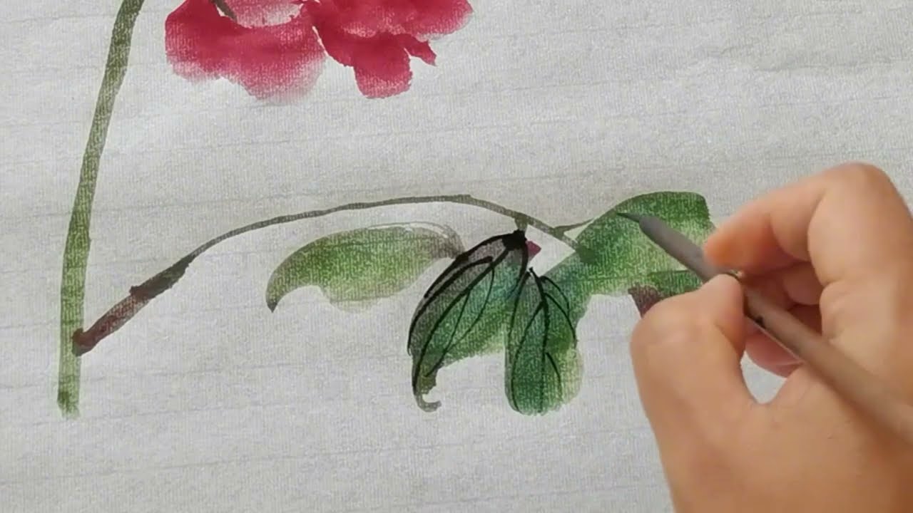 Painting art王雪涛先生牡丹画法，原速展示特别漂亮，还相当简单