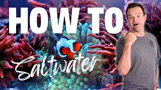 Beginner's Guide To Saltwater Aquariums 2024