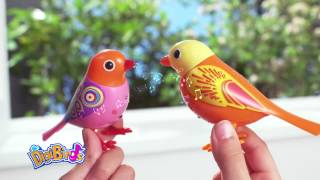 Digibirds - Commercial