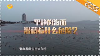 《新闻大求真》20180815期：平静的海面潜藏着什么危险？ News and science【芒果TV精选频道】