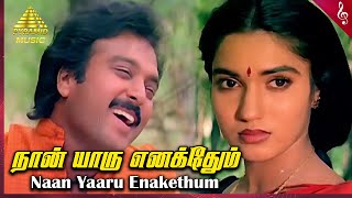 Chinna Jameen Movie Songs | Naan Yaaru Enakethum Video Song | Karthik Sukanya | Ilaiyaraaja