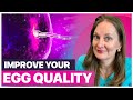 How to Improve Egg Quality: Top 5 Tips to Boost Fertility & Prevent Miscarriage