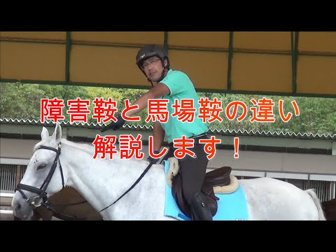 障害馬術用の鞍になります!! 鞍の種類いろいろ | Pacalla（パカラ） | Page 1000
