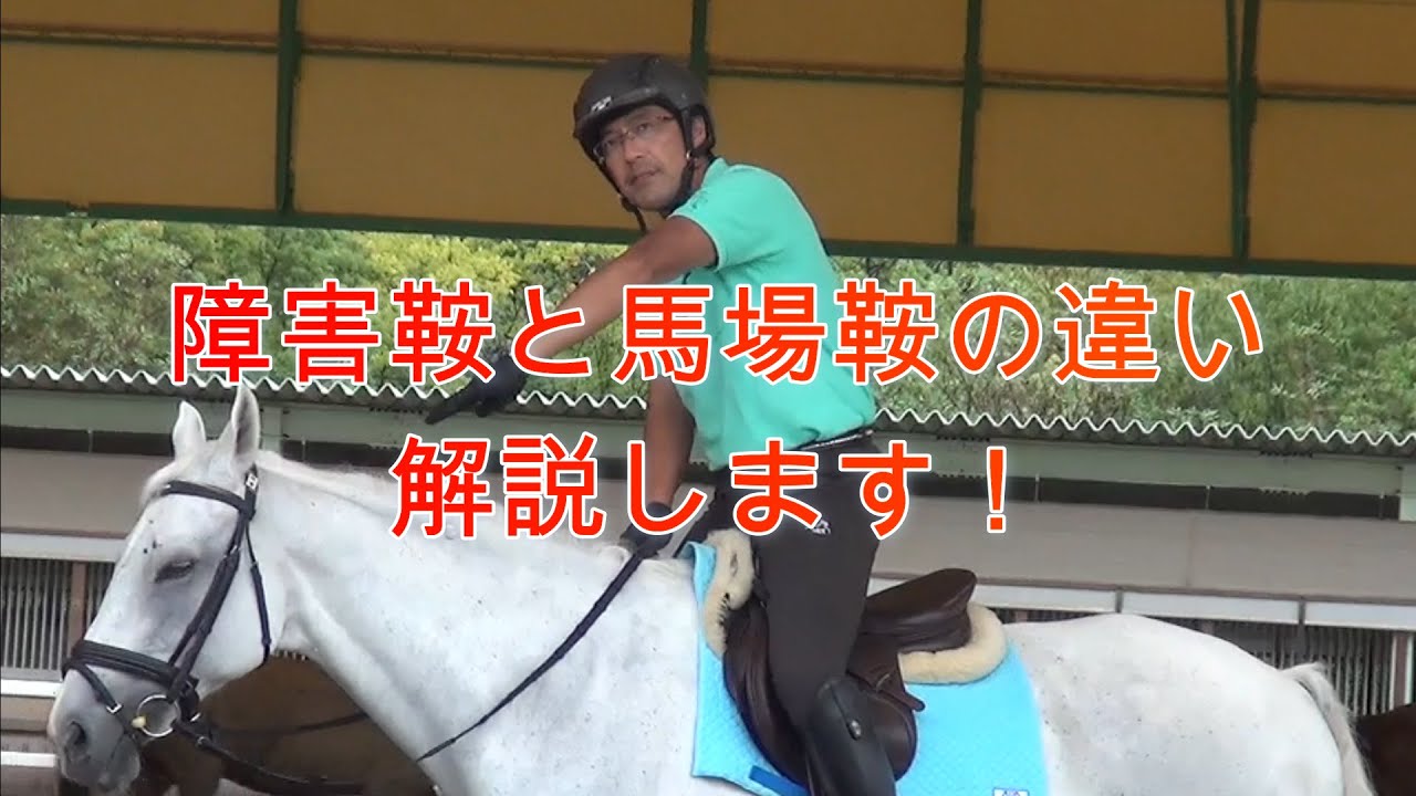 動画でレッスン 第22回障害鞍と馬場鞍の違い 神戸市明石市乗馬クラブ明石乗馬協会 Youtube