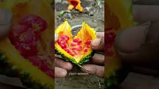 #Bhindi 😱 Bhindi Vegetable Nahi, Fruit Hai? Science Ka Shocking Sach! | #facts #ytshorts #trending