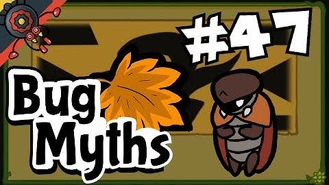 Bug Fables Myth #47: 30 Worms!?