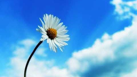 سورة النبأ كاملة| تلاوة هادئة تريح القلب و الاعصاب~💙القرآن الكريم💙بصوت يوسف كالو