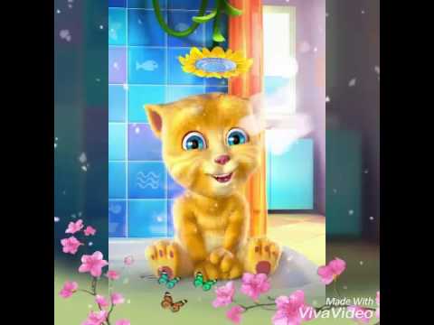 Eid mubarak song video