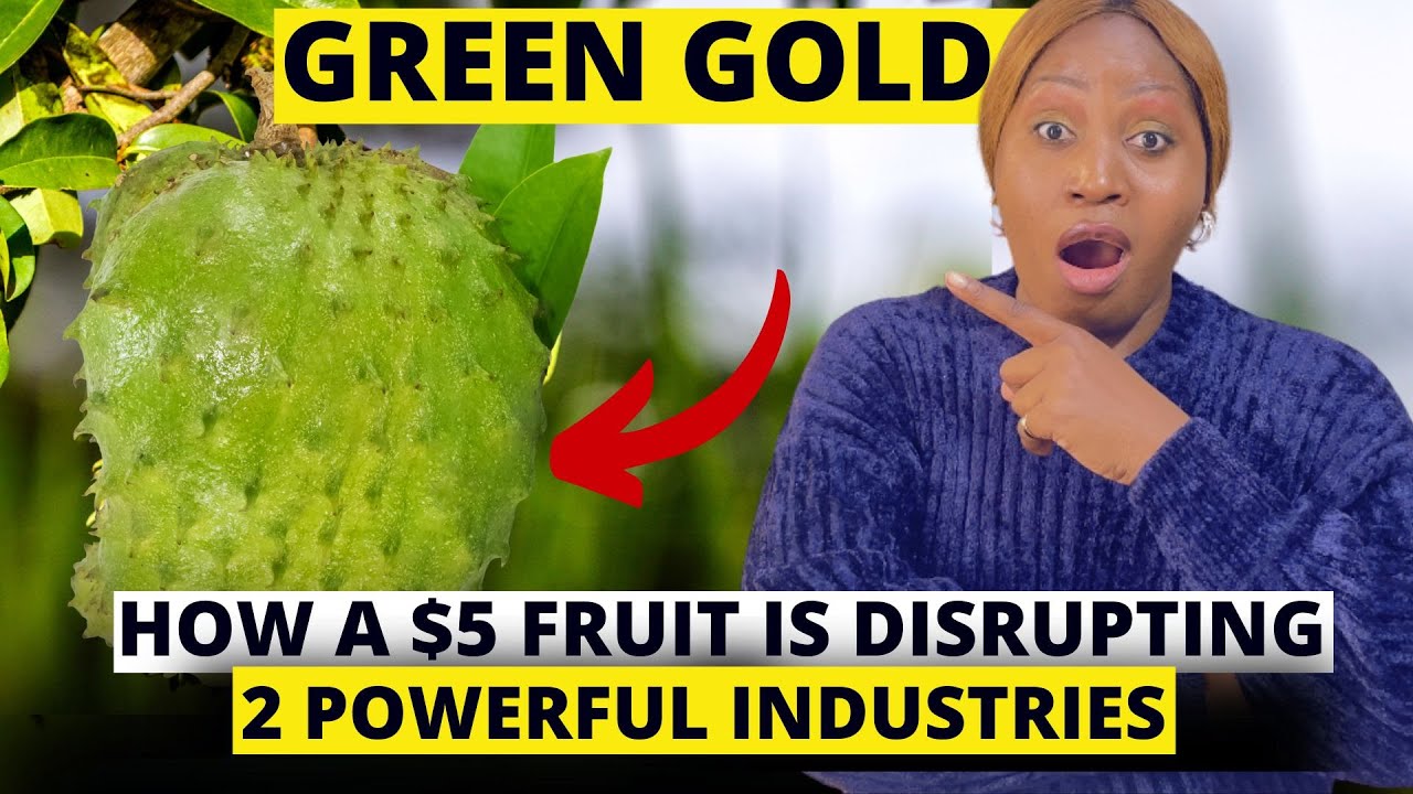 Why Smart Africans Are Planting Soursop Instead of Chasing Crypto