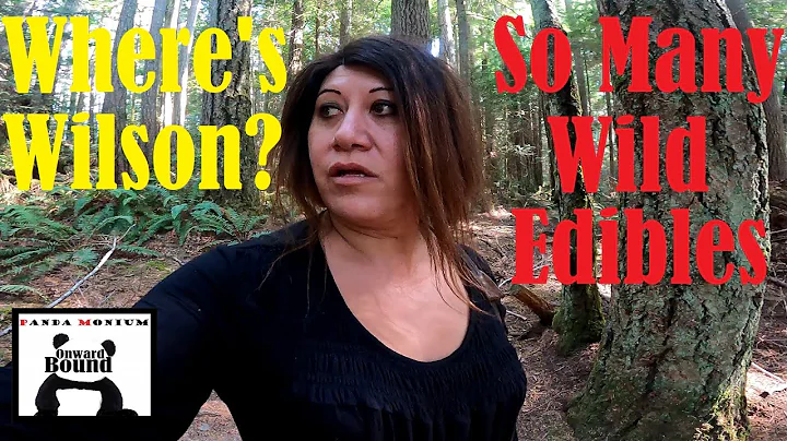 Foraging & Hiking With Teri & Scott In Washington