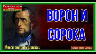 Ворон и Сорока  Константин Ушинский  читает Павел Беседин