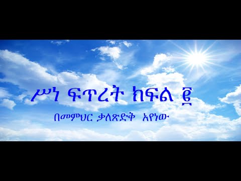 ቪዲዮ: የዘንባባ እሁድ-ምን ማድረግ እንደሌለብዎት ፣ ሥነ ሥርዓቶች እና ወጎች