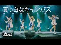 真っ白なキャンバス (Masshiro na Canvas - Pure White Canvas) -  Shout