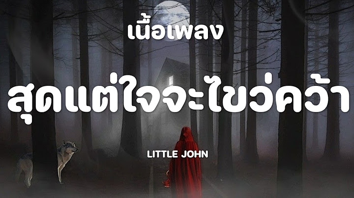 สุดแต่ใจจะไขว่คว้า - LITTLE JOHN [เนื้อเพลง]