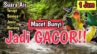 BIKIN GACOR‼️ 1 Jam Suara Air Bikin Nyaman dan Segar, Sangat Ampuh Untuk Terapi Burung Macet Bunyi