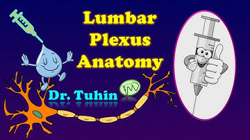 Lumbar Plexus Anatomy | lumbar plexus made easy | Lower limb anatomy | LPB @DrTuhinM