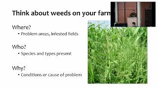 Ecological Weed Management