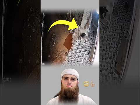 وما كان الله مهلك كم فهو يلطف بكم ويخرجكم من هلاككم تصاميم عبارات حالات وتس متابعه لايكي اكسبلاور