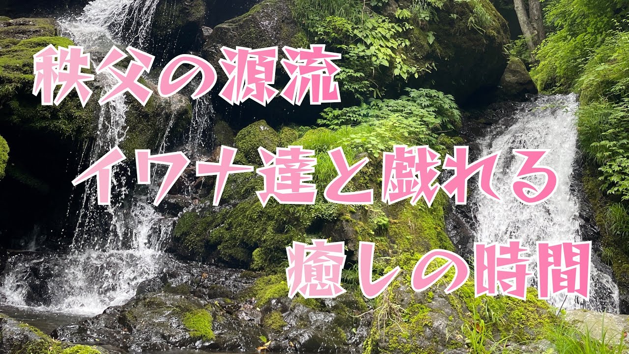 2025年6月、秩父の山奥の源流でルアーフィッシング。ターゲットは