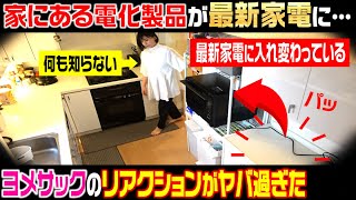 【サプライズドッキリ】家にある電化製品が最新家電に変わっていたらヨメサックはどんなリアクションをするのか？