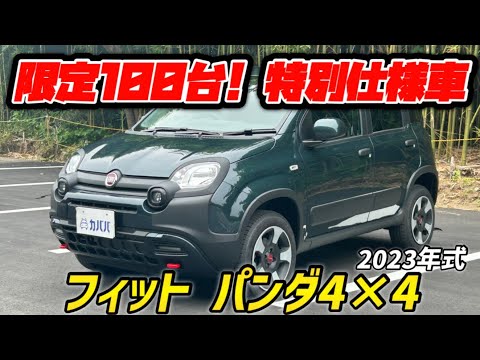 FIAT純正 Pandaリアウィンドウハンドル 7641784 フィアットパンダ FIAT純正 Pandaリアウィンドウハンドル 7641784 フィアットパンダ