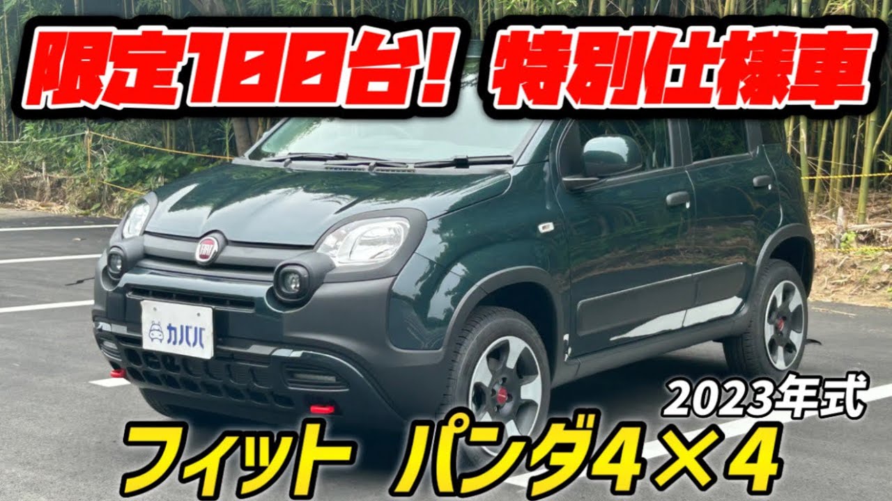 FIAT純正 Pandaリアウィンドウハンドル 7641784 フィアットパンダ FIAT純正 Pandaリアウィンドウハンドル 7641784 フィアットパンダ