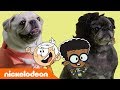 Lincoln & Clyde’s Best BFF Moments 🐾 Pug House-Style | The Loud House | Nick