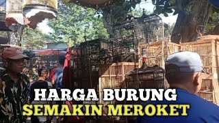 HARGA BURUNG MAKIN MEROKET || PASAR BURUNG