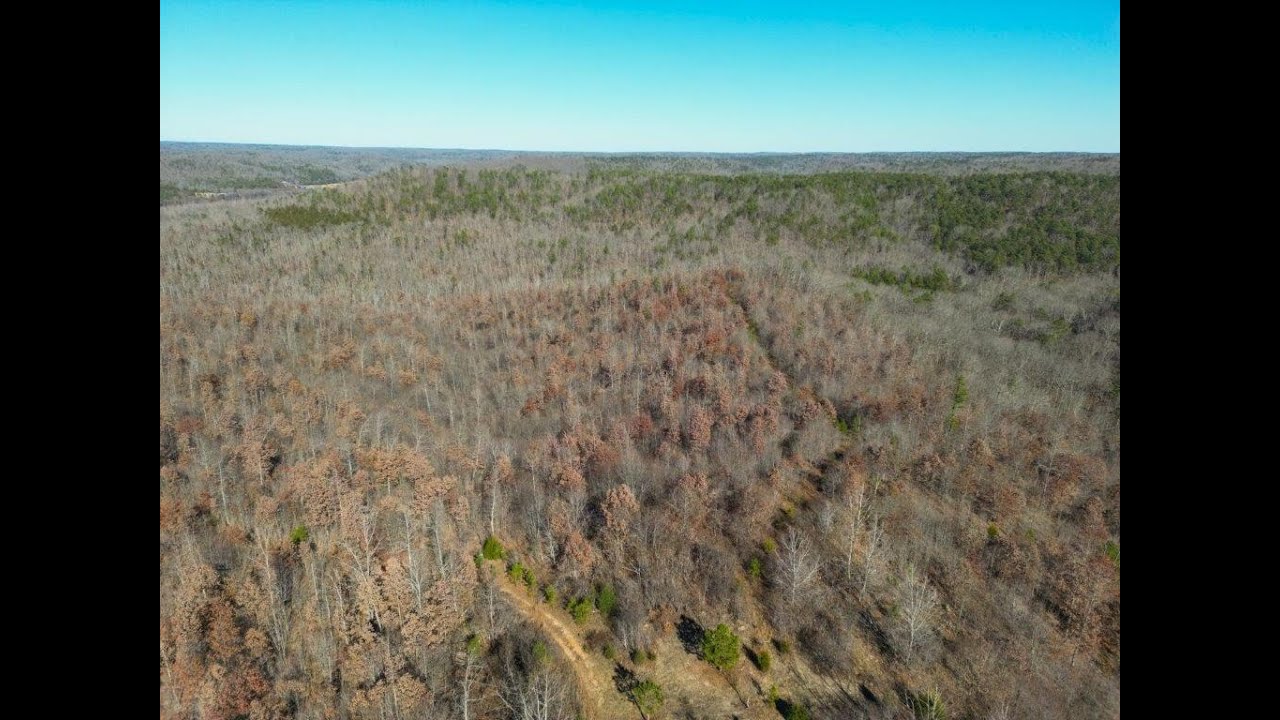 Bunker, MO 15.82 Acres YouTube