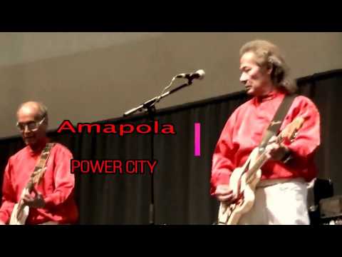 Hans Bax 80 Java Guitars Amapola =Tower City= Leiderdorp NL